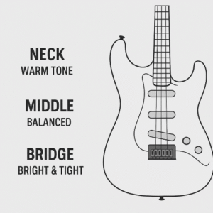 Guitar outline labeled “Neck – Warm Tone,” “Middle – Balanced,” “Bridge – Bright & Tight.