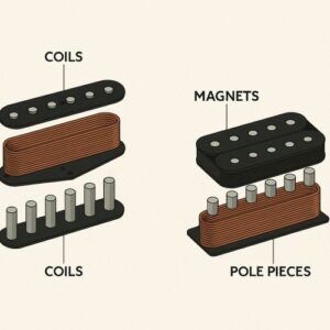 Labeled diagram comparing single-coil and humbucker pickup components.