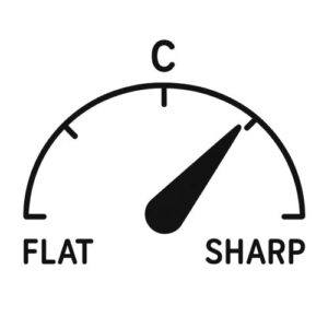 Tuner needle showing sharp and flat pitch for 12th-fret comparison.